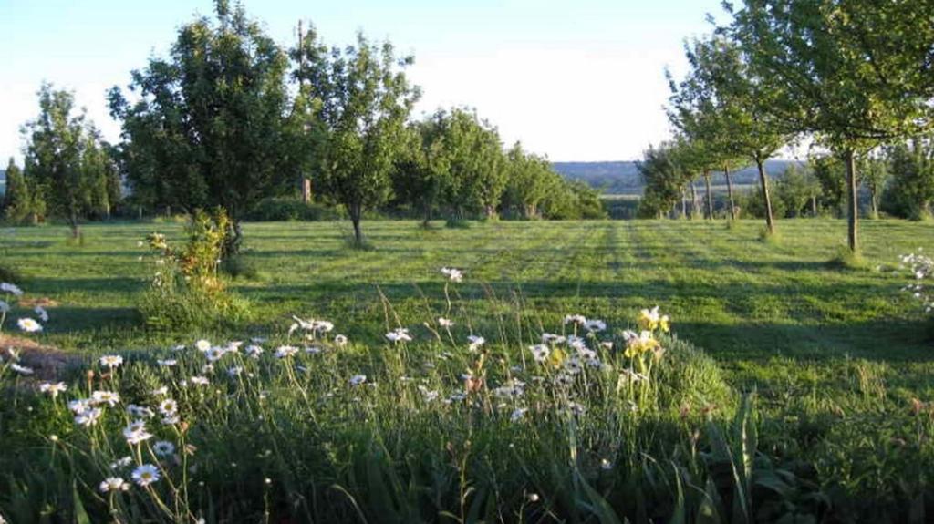 Le Mont D'Auge Bed and Breakfast Canapville  Exteriör bild