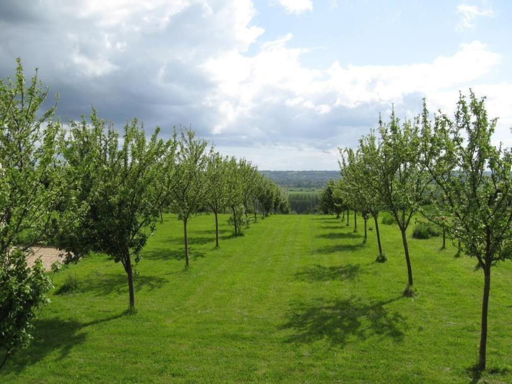 Le Mont D'Auge Bed and Breakfast Canapville  Exteriör bild